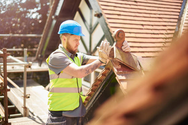 Best Roof Gutter Cleaning  in East Aurora, NY